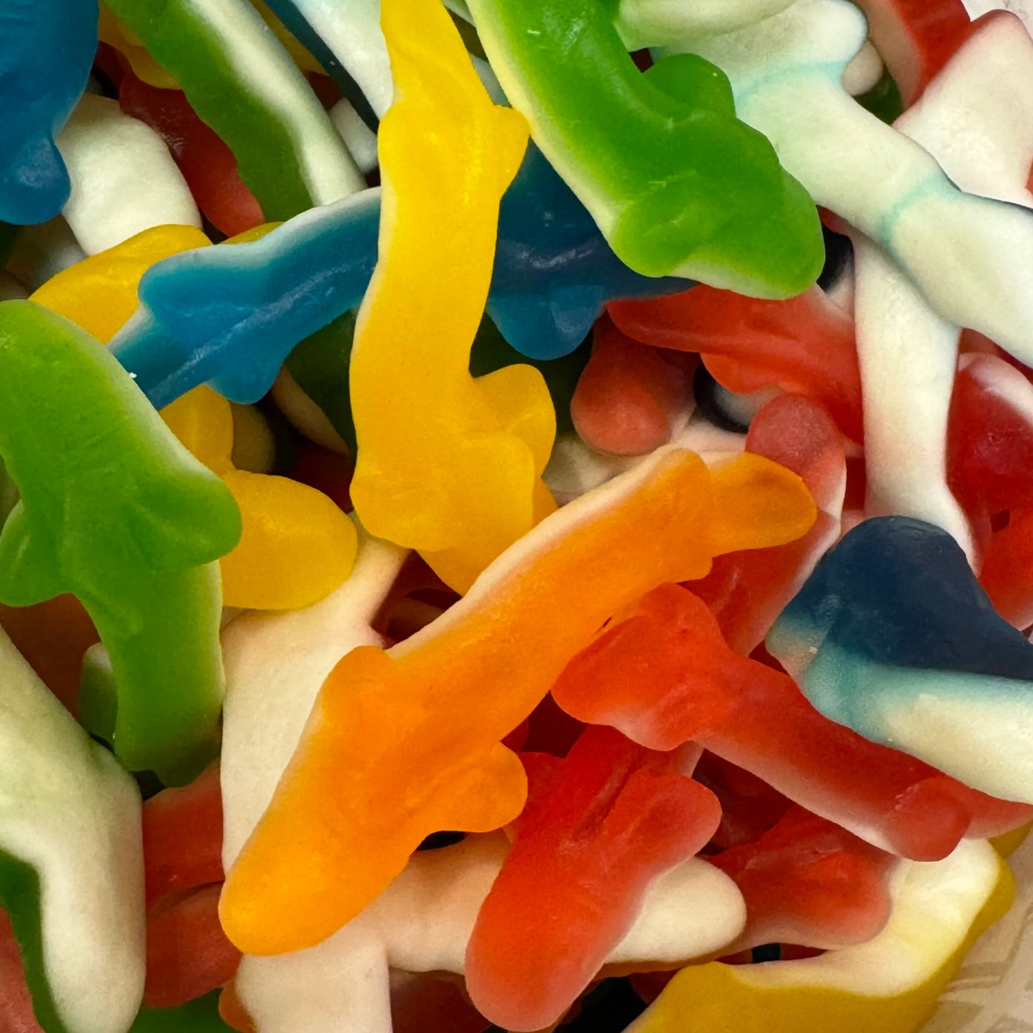 Jelly Sharks image 0