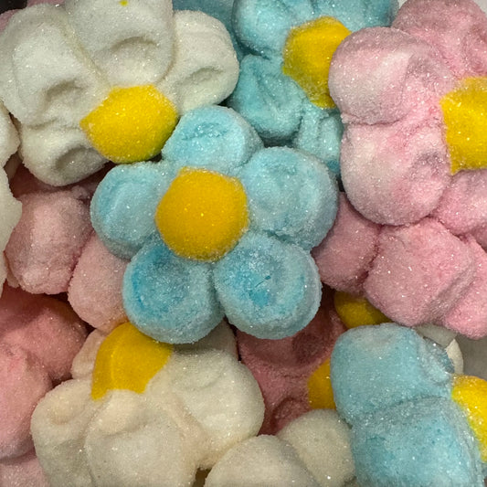 Mallow Flowers image 0